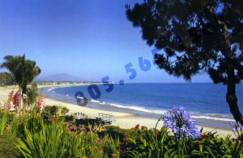 Beach Properties 1755