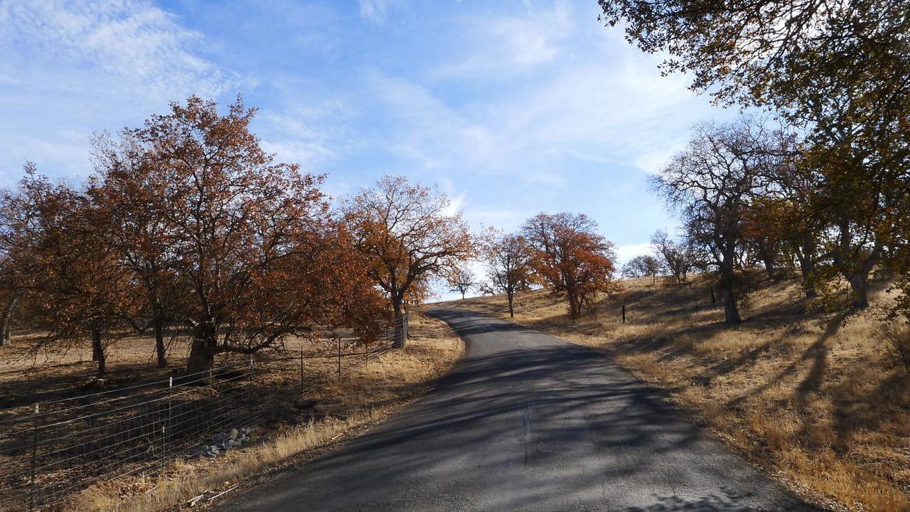 Ranches and Farms  Feather Hollow Beckett Ranch Father