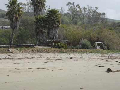 Beach Properties 4795