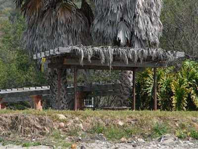 Beach Properties 4795