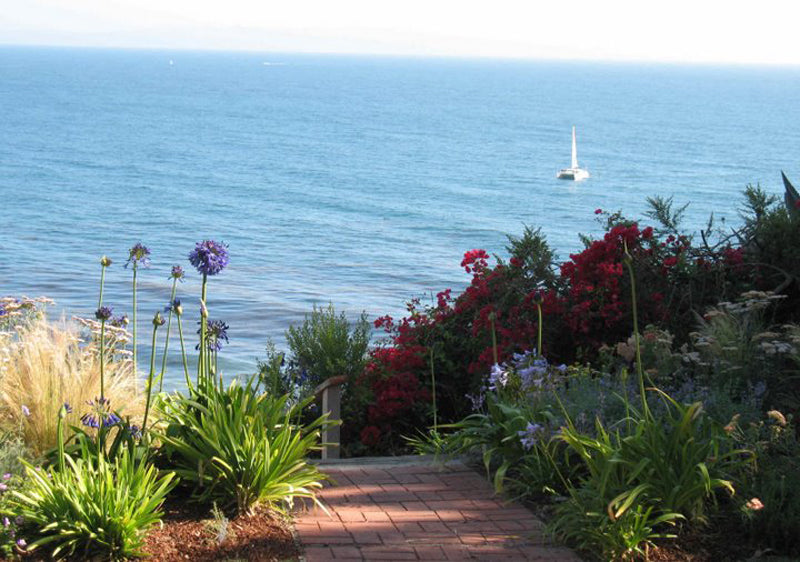Beach Properties 4813