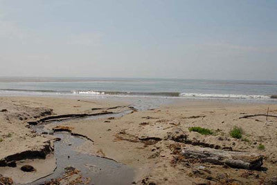 Beach Properties 4885
