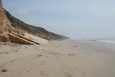 Beach Properties 4885