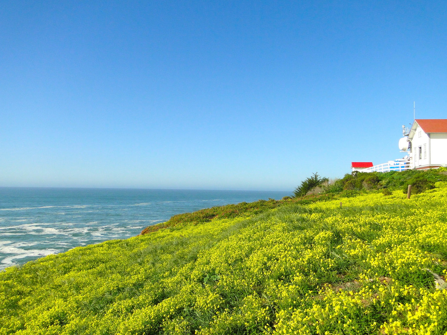 Beach Properties 2113 (San Luis Obispo)