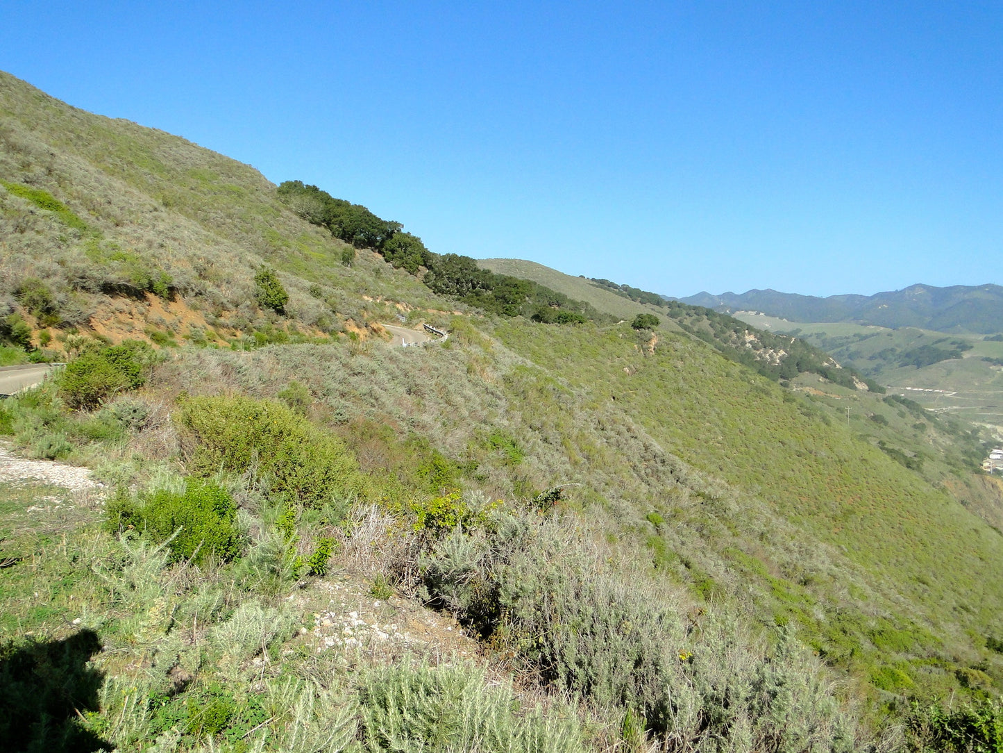 Beach Properties 2113 (San Luis Obispo)