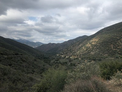 Exotic Tropical Zen Whimsy Wilderness Nira-Campground