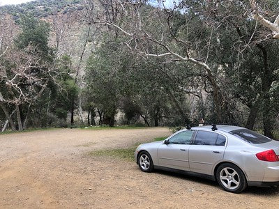 Exotic Tropical Zen Whimsy Wilderness Nira-Campground