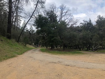Exotic Tropical Zen Whimsy Wilderness Nira-Campground