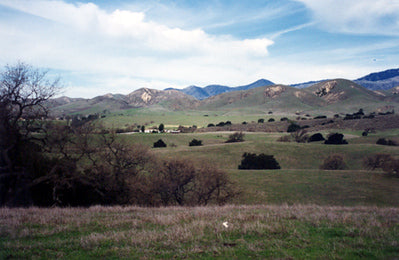 Ranches and Farms 3140