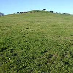 Ranches and Farms 3125