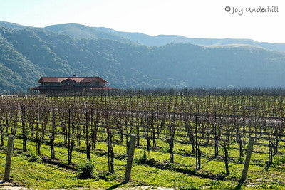 Wineries 3835
