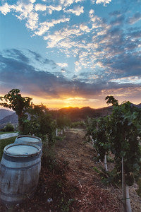 Ranches and Farms 3129