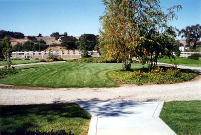 Americana-Midwest-1433 (Los Olivos)