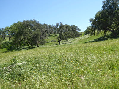 Ranches and Farms 3048
