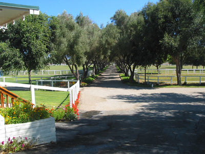 Ranches and Farms 3360