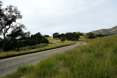 Country Houses 0084 (Santa Ynez)