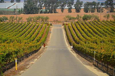 Vineyards & Wineries 1098 (Santa Maria) Roads