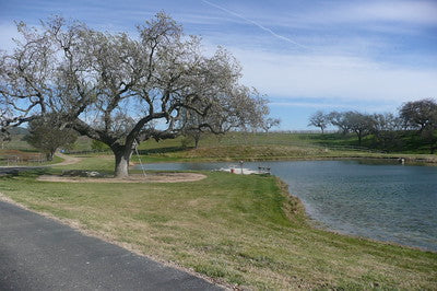 Ranches and Farms 2235