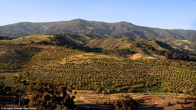 Ranches and Farms 3232