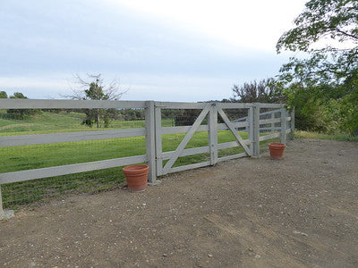 Americana-Midwest-1569 (Los Olivos)