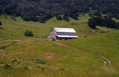 Barns 3714 (Buellton)