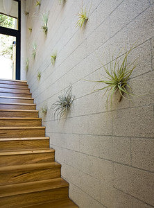 Modern Homes 0090