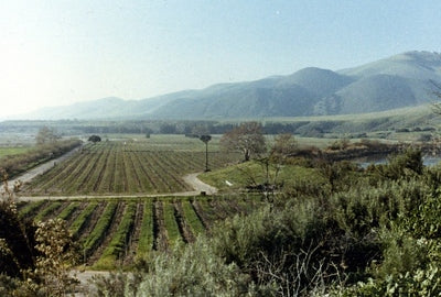 Wineries 3840