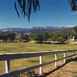 Ranches and Farms 3006
