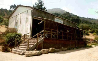 Restaurants Cafes Bars Fruit Stands Etc. 3151 (Ventura)
