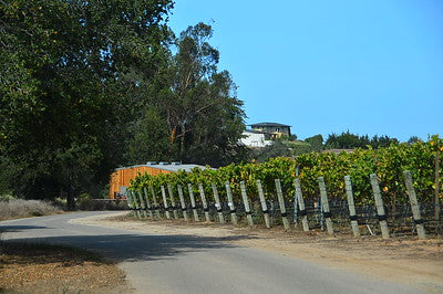 Vineyards & Wineries 1098 (Santa Maria) Roads