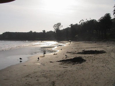 Beaches 8200