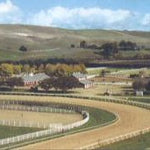 Ranches and Farms 3153