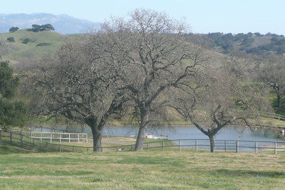 Ranches and Farms 2235