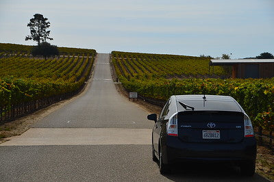 Vineyards & Wineries 1098 (Santa Maria) Roads