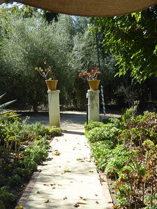 Mediterranean-Houses 0062 (Ojai)
