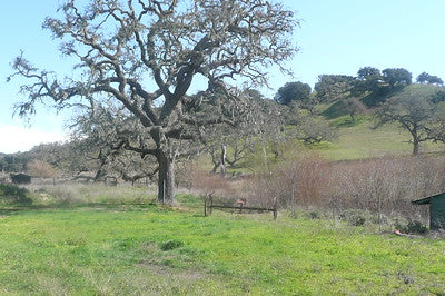 Ranches and Farms 3262