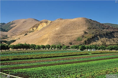 Ranches and Farms 3217