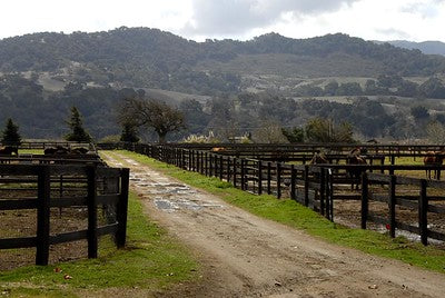 Ranches and Farms 3241