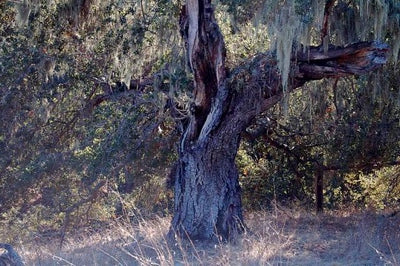 Ranches and Farms 3179