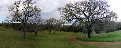 Ranches and Farms 3301