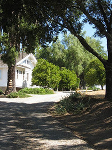Ranches and Farms 3119