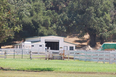 Ranches and Farms 3118