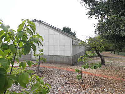 Ranches  Farms 3065