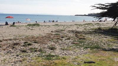Beaches 8070