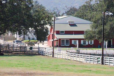 Ranches and Farms 3118