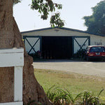 Ranches and Farms 3006