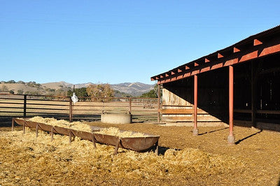 Ranches and Farms 3048