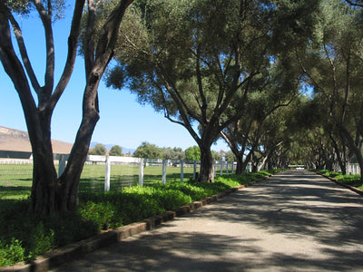Ranches and Farms 3360