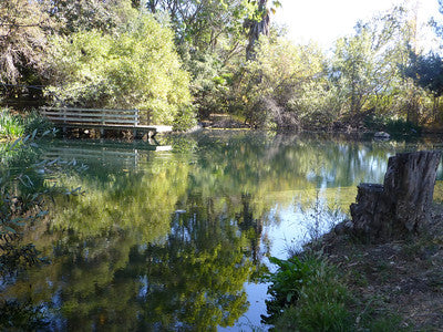 Lakes-Ponds 3063 (SY)