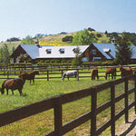 Ranches and Farms 3241